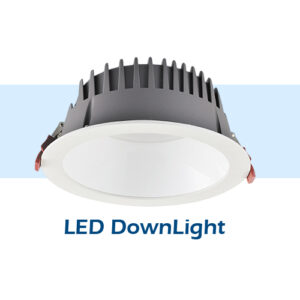 LED Down Light